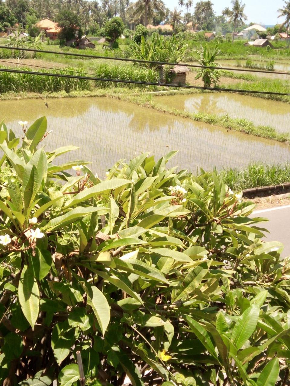 Mesari Homestay Amed Exterior foto